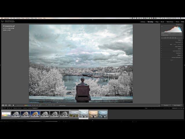 Getting Started In Infrared Photography