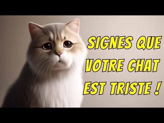 DÉCOUVREZ LES 10 SIGNES QUE VOTRE CHAT EST TRISTE ! La vérité est...