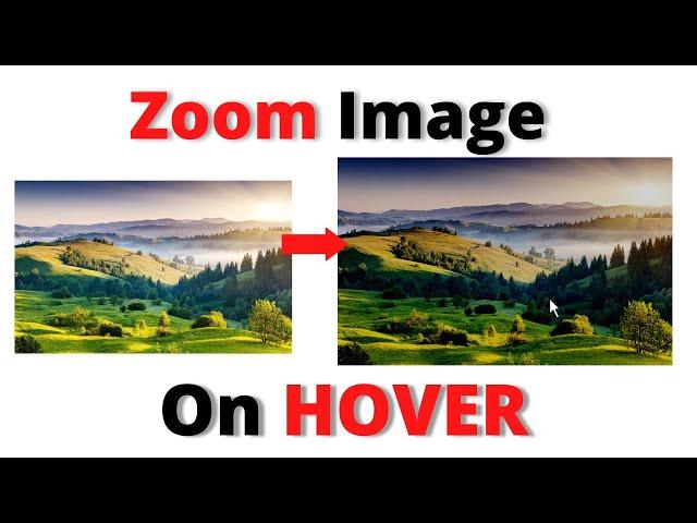 Zoom In Image on Hover | Image ZoomIn Effect | HTML & CSS