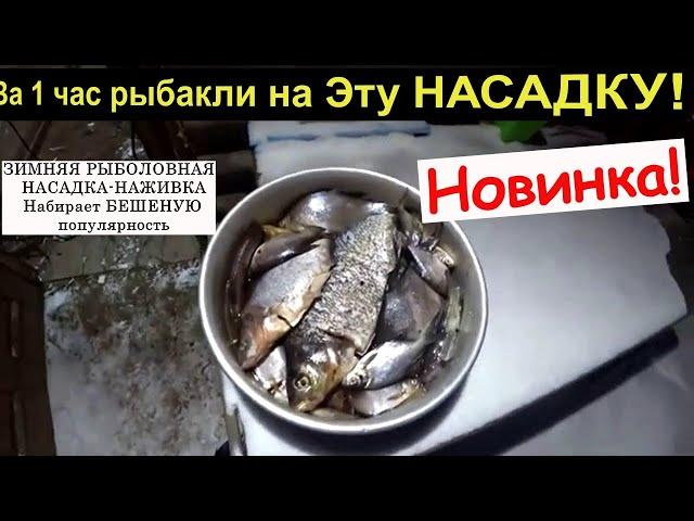 Зимой на мотыля больше не ловлю. Заменил его на эту насадку