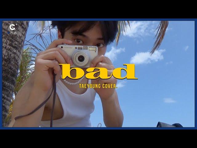 [C-Plus+] TAEYOUNG 태영 'bad' Cover l CRAVITY (크래비티)