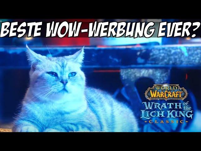 Besser als der NACHTELF-IROKESE: KATZEN und der Lich King machen Werbung für World of Warcraft