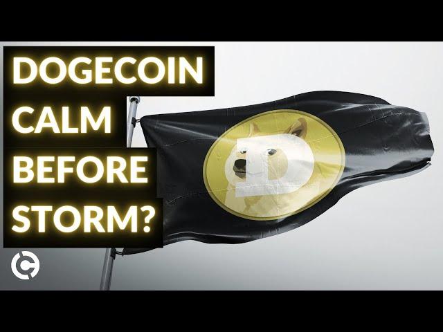 UPDATED Dogecoin Price Analysis March 2021 | Calm Before the Storm for Doge?