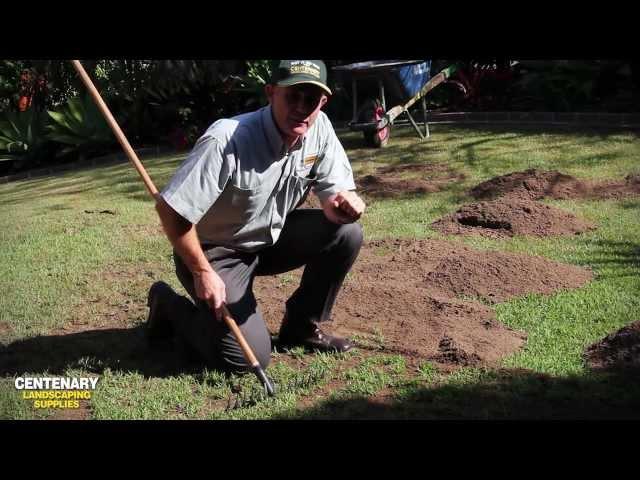 Top Dressing and Top Soiling your Lawn