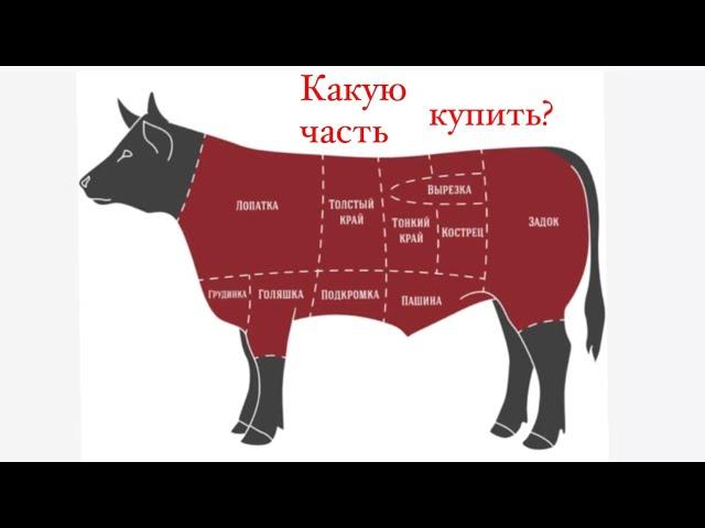 КАКУЮ ЧАСТЬ ГОВЯДИНЫ ВЫБРАТЬ // МЯКОТЬ ОКОРОКА