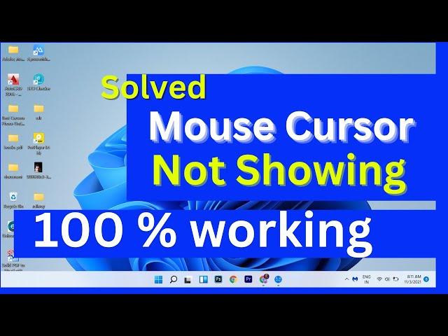 Fixed Cursor is not showing in laptop windows 11| Laptop Mouse Cursor not Showing