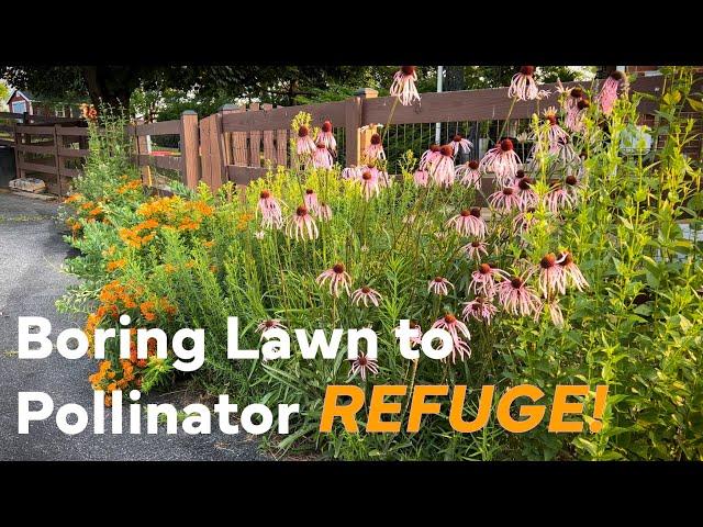 Dry Sun? Plant A MICRO PRAIRIE!