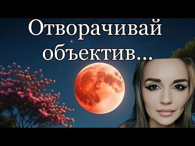 /Отворачивай объектив.../ Ирина Самарина-Лабиринт