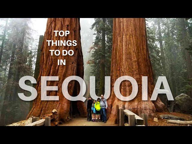 Top 10 Things To Do In Sequoia National Park, California