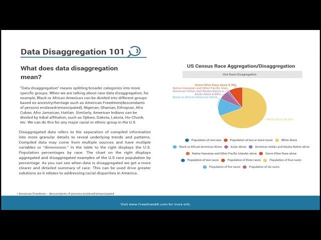 Data Disaggregation 101| What does disaggregation mean?