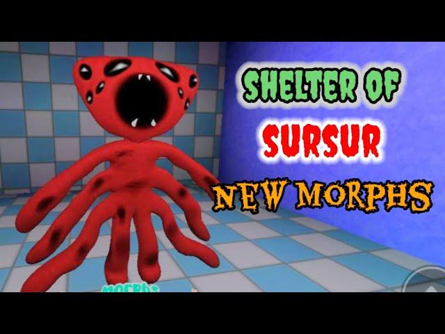 SHELTER OF SURSUR RP NEW SECRET MORPHS