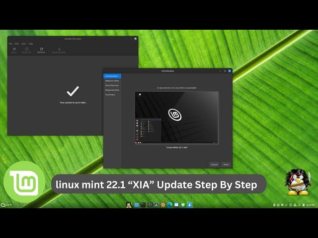 Linux Mint 22.1 "XIA" Upgrade Step By Step - February 2025 #linuxmint