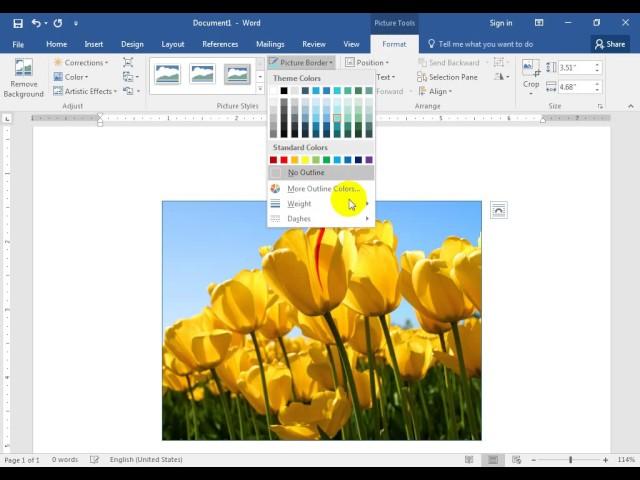 how to add and style the image border in word