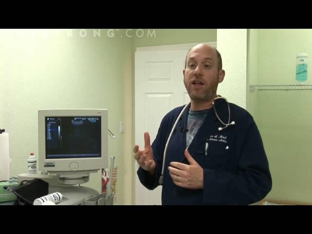 How to Diagnose an Ectopic Pregnancy