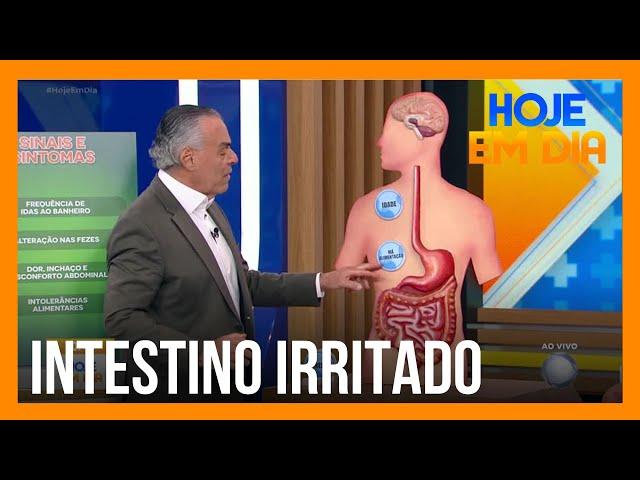 Você e o Doutor: Saiba o que fazer para evitar problemas no intestino