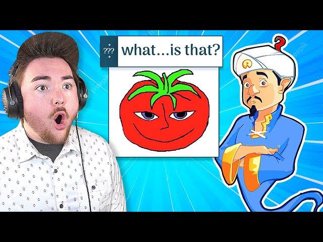 Can The AKINATOR guess MR. TOMATOS!?