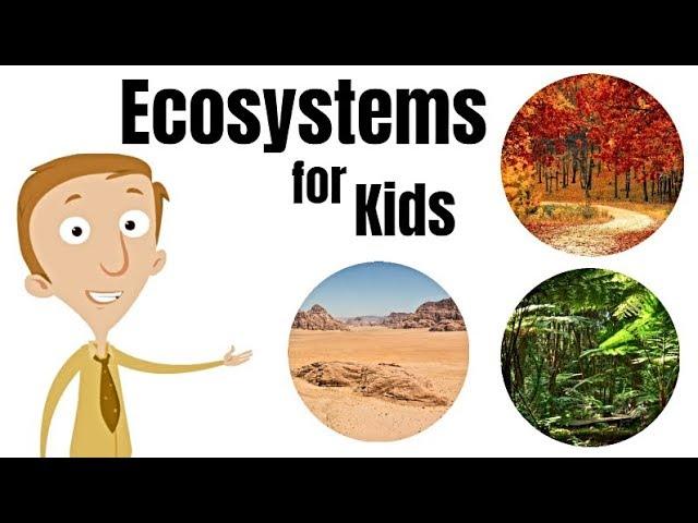 Ecosystems for Kids