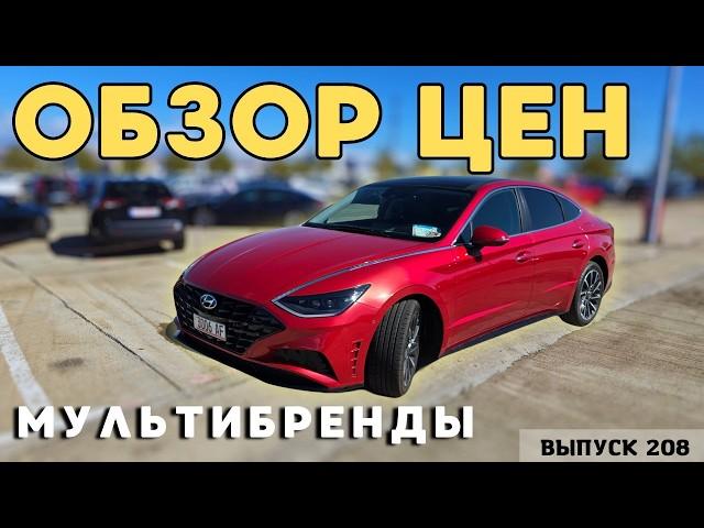 Обзор цен на мультибренды.Ранок Автопапа.Авто из Грузии.Мастер Вадя.#mastervadya #autopapa #offroad