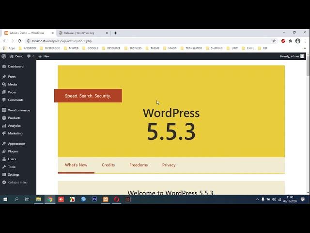 How to Downgrade WordPress Version