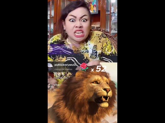 Video lucu tante lala saat live mendapat singa