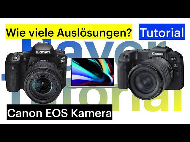 Canon Kamera (z.B. Canon EOS R, Canon EOS 90D, ...) Auslösungen auslesen Tutorial