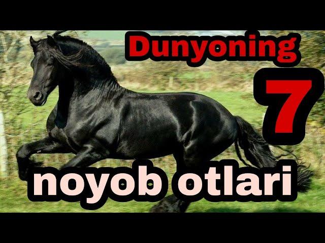 DUNYODAGI ENG NOYOB OTLAR. OTLARNING BU ZOTLARI BIR BIRIDAN AJOYIB