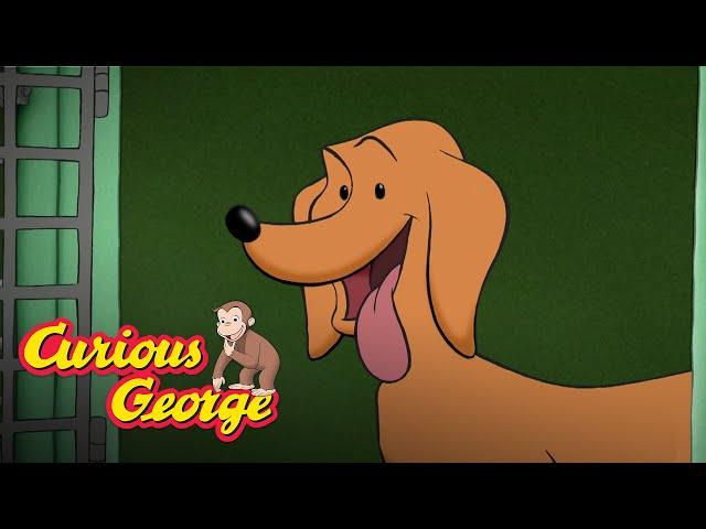 Free Hundley  Curious George Kids Cartoon  Kids Movies Videos for Kids