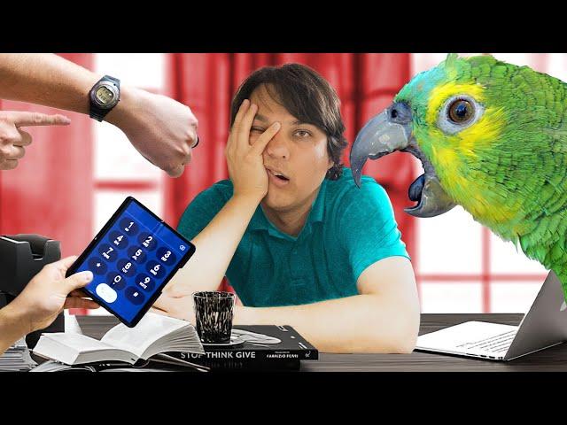 Top Pet Parrots For Busy People