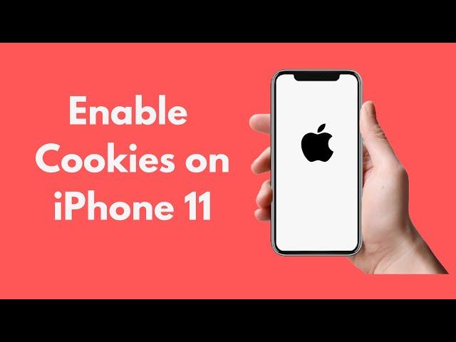 iPhone 11/ Pro Max : How to Enable Cookies on iPhone 11