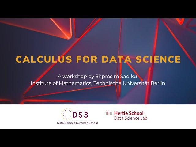 Calclulus for Data Science | Data Science Summer School 2023