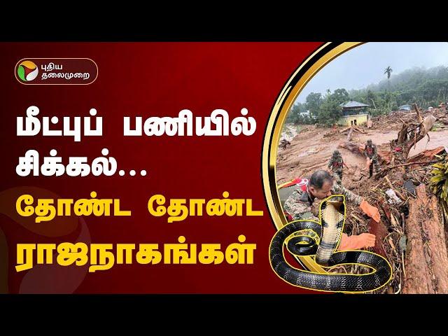 மீட்புப் பணியில் சிக்கல்... தோண்ட தோண்ட ராஜநாகங்கள் | Wayanad landslides  | PTT