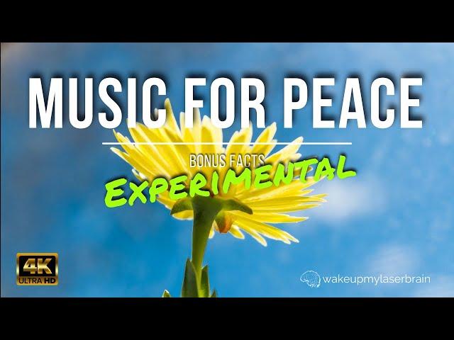 Experimental /  Relaxing Music, for Stress Relief, Sleep, Study, Meditation, 10 Hours | Bonus Facts