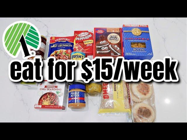 How to Eat for $15 a Week | Dollar Tree Budget Meal Plan | Extreme Grocery Haul