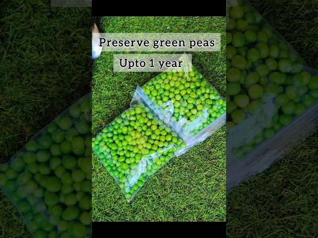 How to preserve green peas| Frozen matar without any preservative| #ytshorts  #frozenmatar #shorts