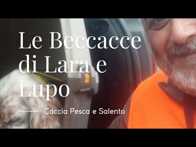 Le beccacce di Lara e Lupo - Caccia alla Beccaccia 2024