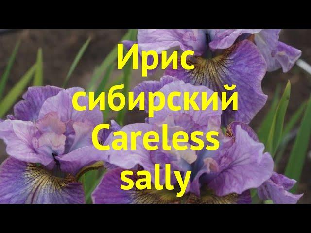 Ирис сибирский Кареллес сали. Краткий обзор, описание характеристик iris sibirica Careless sally