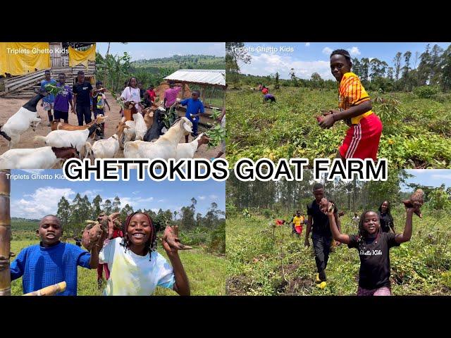 Ghetto Kids - Spend a Day At Their Farm| Learn To Harvest | Goat Farming | Dance