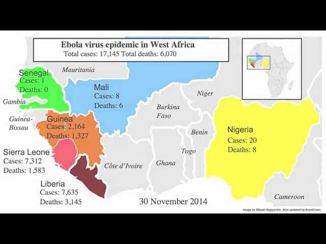 Epidemics, Outbreaks and Pandemics