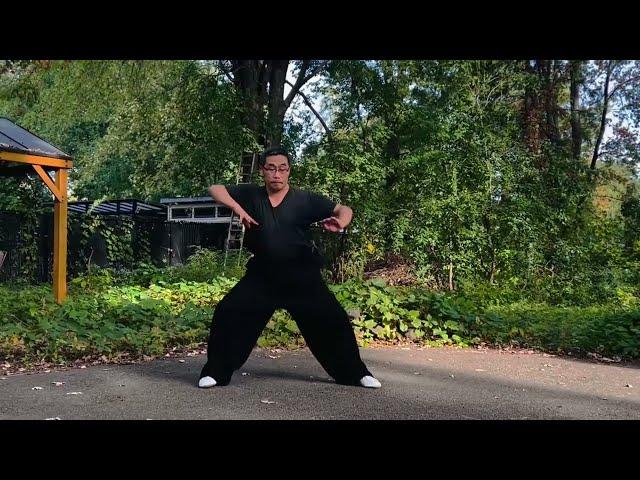 My Casual Practice (18) Some Xing Yi-Ba Gua Palm Movements