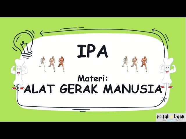 IPA - ALAT GERAK MANUSIA