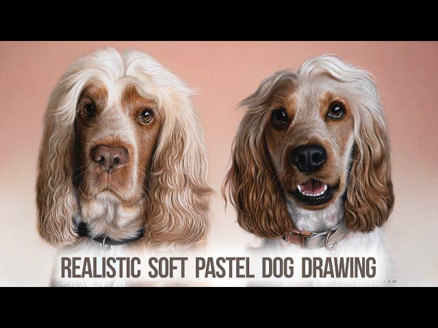 Realistic Dog Portrait Art Time-lapse | Show Cocker Spaniels