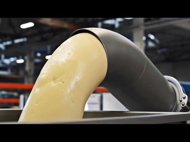 How BUTTER is Made In Factories | From Cows Milk To Butter (Amazing Process)