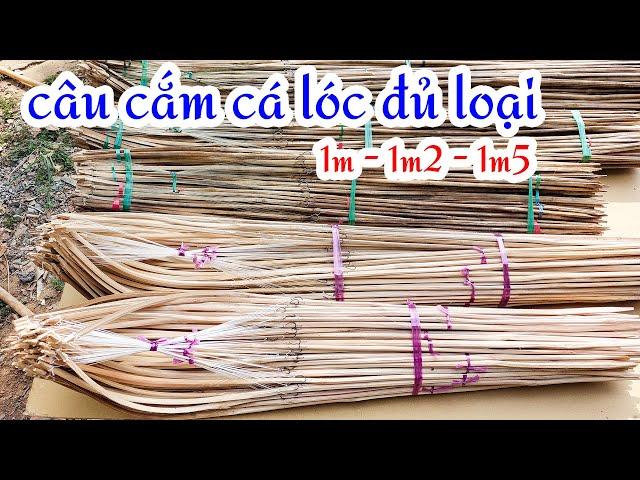 Đầy đủ các mẫu CẦN CÂU CẮM CÁ LÓC để anh em lựa chọn