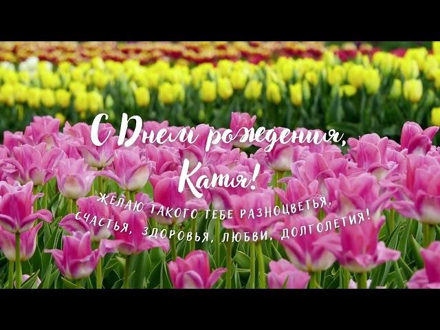 Открытка - С Днем рождения, Катя!