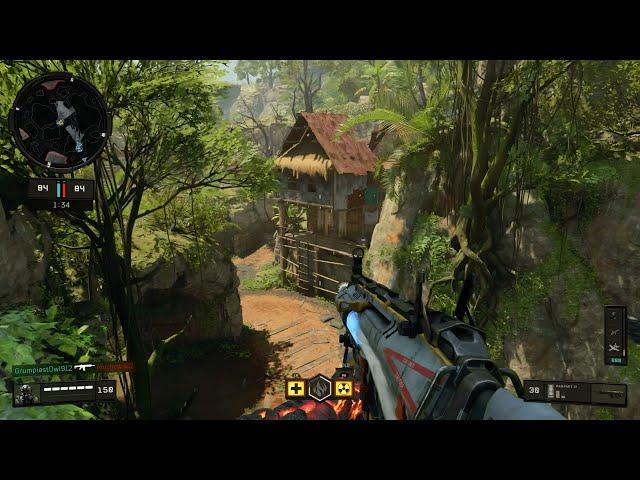 Call of Duty Black Ops 4: Team Deathmatch Gameplay (No Commentary)