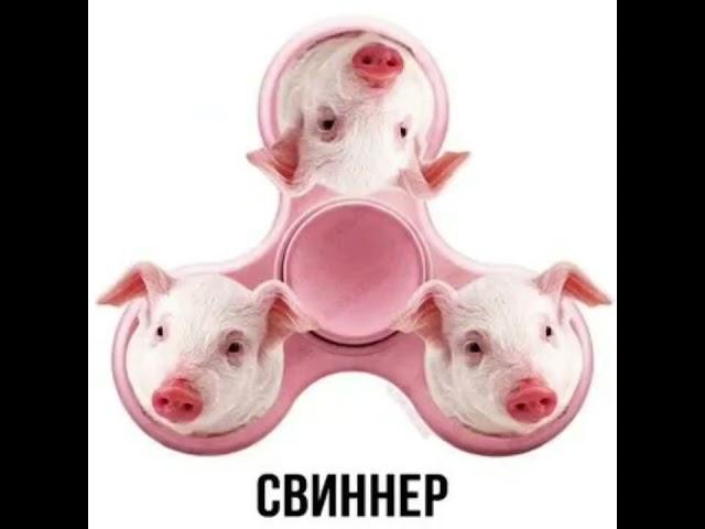 собаня