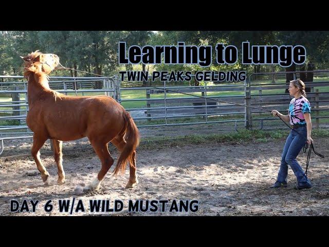 Learning to Lunge | Twin Peaks 2023 Day 6