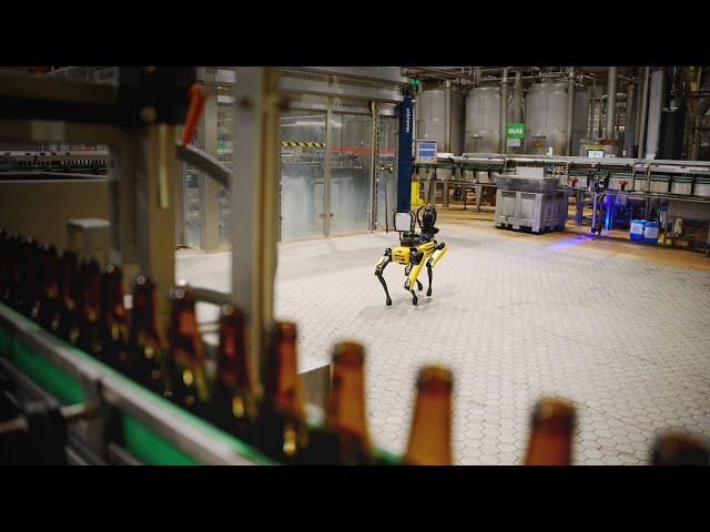 Spot at AB InBev Belgium | Boston Dynamics