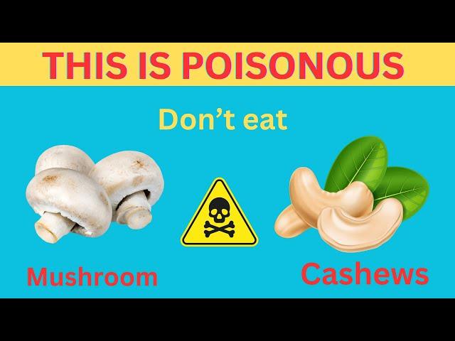 Never Eat These 16 Exotic Foods Or You'll Die! || Health AR