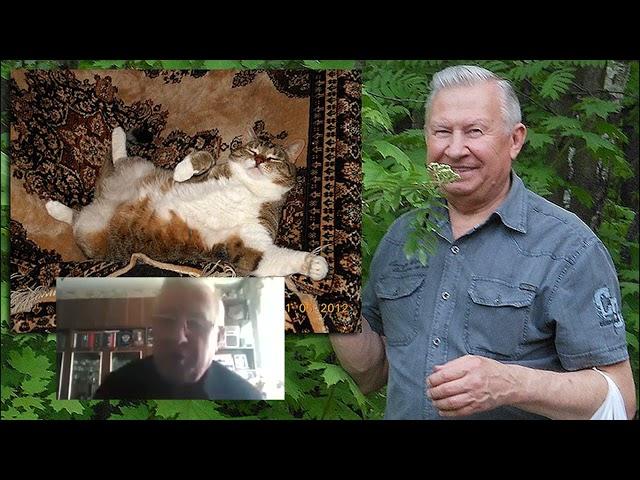 Борис Ратников. Про котов и кошек